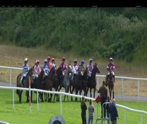 Video preview image for Downpatrick 16:15 - Balloo Vets Beginners Chase