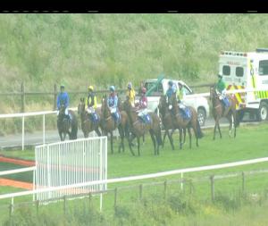 Video preview image for Downpatrick 16:30 - Down Time Festival Rated Novice Hurdle