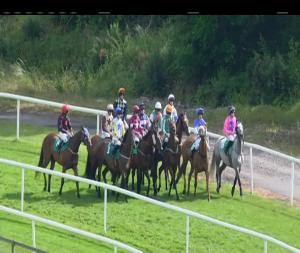 Video preview image for Downpatrick 16:50 - Ajc Group Handicap Chase