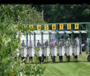 Video preview image for Down Royal 13:55 - Rainbow Communications Maiden