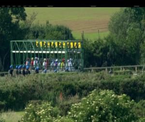 Video preview image for Down Royal 16:55 - Down Royal Handicap 