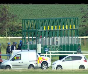 Video preview image for Fairyhouse 19:15 - toals.com Bookmaker Fillies 