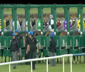 Video preview image for Fairyhouse 20:20 - toals.com Bookmakers Handicap