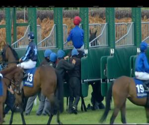 Video preview image for Fairyhouse 20:50 - Follow Fairyhouse On Social Media Handicap