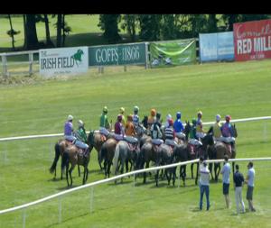 Video preview image for Gowran Park 13:40 - Kullens Kitchen Thomastown Mares Maiden Hurdle 