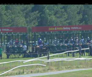 Video preview image for Gowran Park 14:05 - Irish Stallion Farms European Breeders Fund Maiden