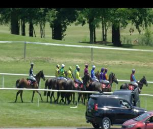 Video preview image for Gowran Park 14:15 - Gain (C & G) Maiden Hurdle