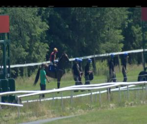 Video preview image for Gowran Park 14:35 - Download The Ladbrokes App Handicap