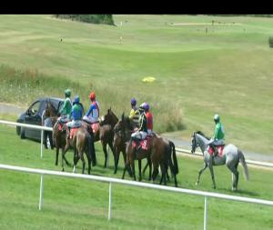 Video preview image for Gowran Park 14:50 - Kilkenny City & County Vintners Hurdle