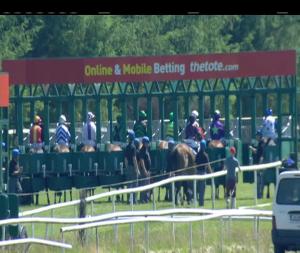 Video preview image for Gowran Park 15:05 - www.gowranpark.ie Handicap 
