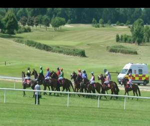 Video preview image for Gowran Park 15:55 - Whitfield Orthopaedic & Sports Injury Clinic Handicap Hurdle (Div 1)