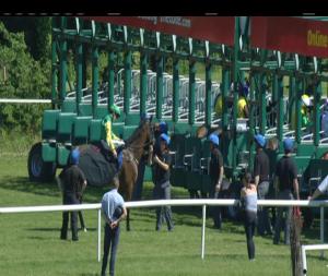 Video preview image for Gowran Park 16:05 - Irish Stallion Farms European Breeders Fund Fillies Maiden