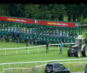 Video preview image for Gowran Park 16:15 - Irish Stallion Farms European Breeders Fund Median Auction Fillies Maiden
