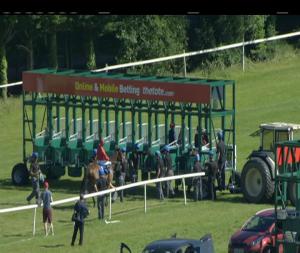 Video preview image for Gowran Park 17:05 - Golf Societies Welcome 