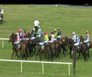 Video preview image for Kilbeggan 18:00 - Book Online At www.kilbegganraces.com Maiden Hurdle