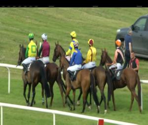 Video preview image for Kilbeggan 18:30 - Add Kilbegganraces On Snapchat Novice Hurdle