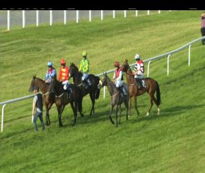 Video preview image for Kilbeggan 18:55 - Bloomfield House Hotel Mares Hurdle