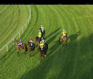 Video preview image for Kilbeggan 19:55 - Mid Summer Monday 25th June Race Evening Beginners Chase