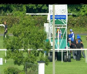 Video preview image for Leopardstown 17:45 - Irish Stallion Farms European Breeders Fund Fillies Maiden 