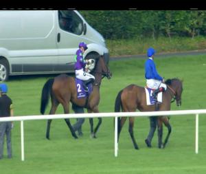 Video preview image for Leopardstown 19:25 - Glencairn Stakes (Listed)