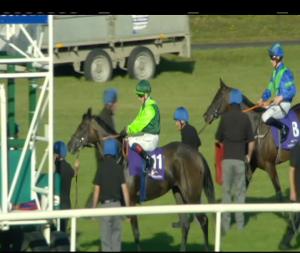 Video preview image for Leopardstown 19:35 - "Hudson Taylor" Apprentice Handicap