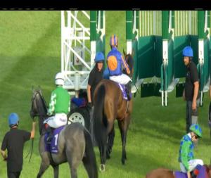 Video preview image for Leopardstown 19:55 - King George V Cup (Listed)