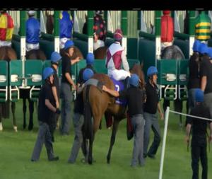 Video preview image for Leopardstown 20:30 - T.P. Quinn Memorial Apprentice Handicap 