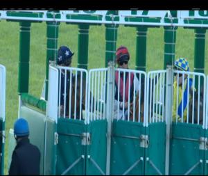 Video preview image for Leopardstown 20:35 - Leopardstown Ladies Golf Club Handicap