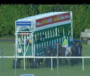 Video preview image for Leopardstown 20:35 - Leopardstown Carnival Night Handicap 