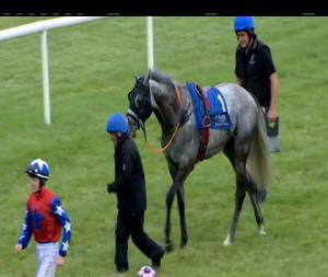 Video preview image for Limerick 17:45 - Cliona Hagan Plays Live At Limerick Racecourse July 26th Apprentice Handicap