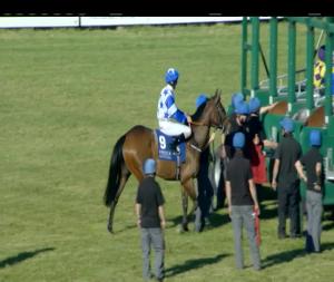 Video preview image for Limerick 19:10 - Croom House Stud Handicap