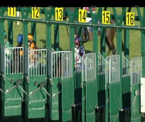 Video preview image for Limerick 19:45 - Irish Stallion Farms European Breeders Fund Fillies Maiden 
