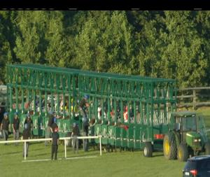 Video preview image for Limerick 20:50 - Limerick Racecourse Family Fun Day 8th July Handicap