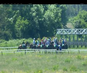 Video preview image for Listowel 13:30 - Kingdom Mares Maiden Hurdle