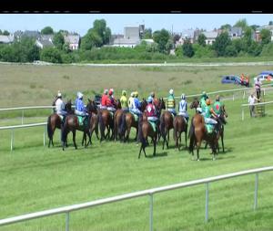 Video preview image for Listowel 14:30 - Mike Lawlee Memorial Handicap Hurdle (Div 1)