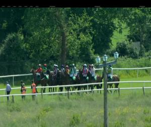 Video preview image for Listowel 15:30 - Harvest Festival 9Th-15th September Handicap Hurdle
