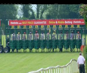 Video preview image for Navan 14:25 - Summer Ladies Day Apprentice Handicap