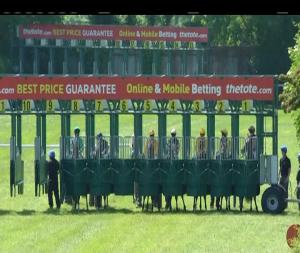 Video preview image for Navan 14:55 - Irish Stallion Farms European Breeders Fund Fillies Maiden