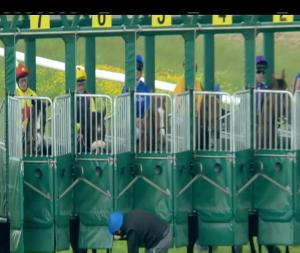 Video preview image for Navan 15:00 - Adrian Fox Memorial Maiden