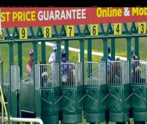 Video preview image for Navan 15:35 - Come Racing Saturday July 14th Handicap