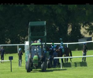 Video preview image for Navan 17:25 - Boyne Handicap