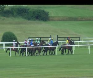 Video preview image for Punchestown 20:20 - Bet Now With The Ladbrokes App Handicap Hurdle