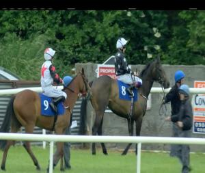 Video preview image for Roscommon 18:00 - Roscommon Claiming Maiden 
