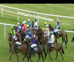Video preview image for Roscommon 18:30 - Roscommon Racecourse Handicap Hurdle