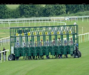 Video preview image for Roscommon 20:00 - Connaughton Auctioneer`s Maiden 