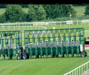 Video preview image for Roscommon 20:30 - Hyrdotech Handicap 