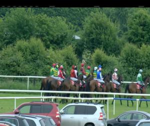 Video preview image for Roscommon 20:30 - thetote.com Connacht National Handicap Chase