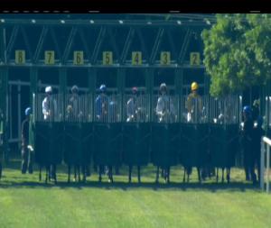 Video preview image for Tipperary 17:50 - Foran Equine Irish European Breeders Fund Auction Maiden 