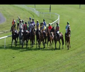 Video preview image for Tramore 17:45 - Waterford & Tramore Racecourse Annual Members Mares Beginners Chase