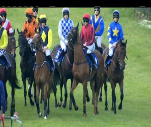 Video preview image for Tramore 18:45 - Dfl Construction Ltd. Maiden Hurdle 